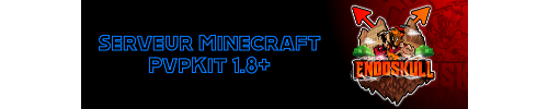 Serveur Minecraft EndoSkull