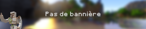 Serveur Minecraft Nexodus